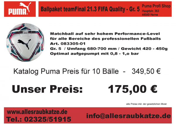 Puma Ballpaket teamFinal 21.3